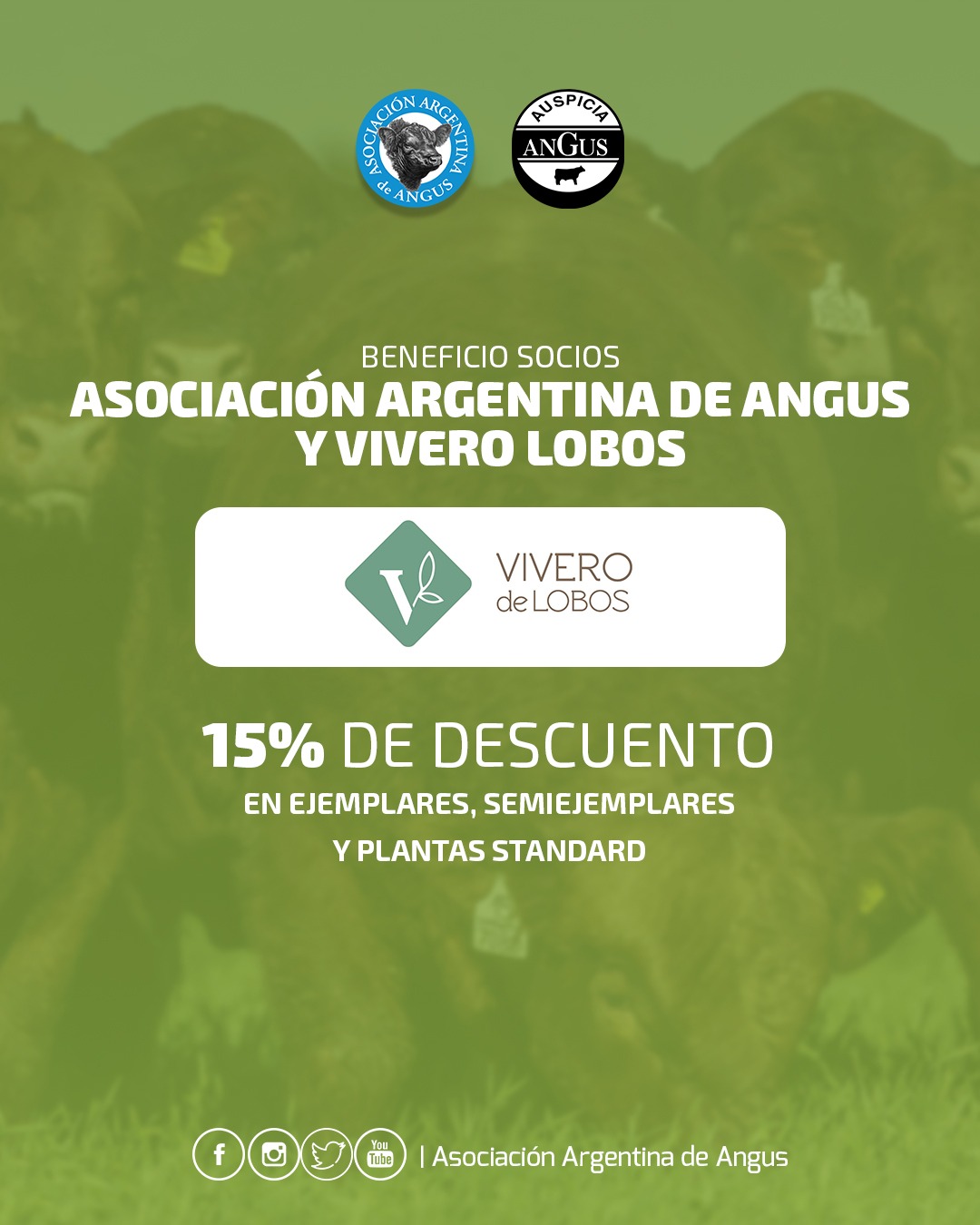 Beneficio Socios: Vivero Lobos